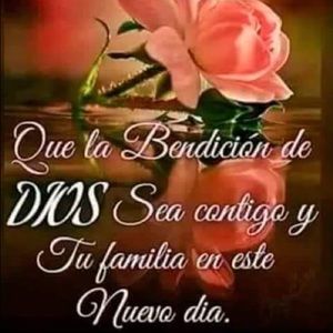 Meet your Posher, Lupita